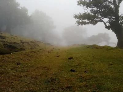 研究区刷怪点